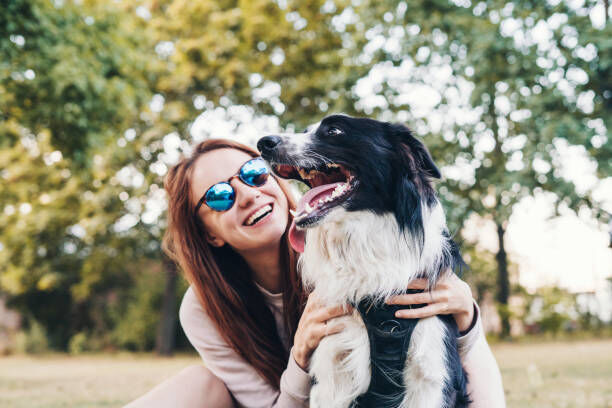 How to Create a Stylish Backyard That’s Also Pet-Friendly